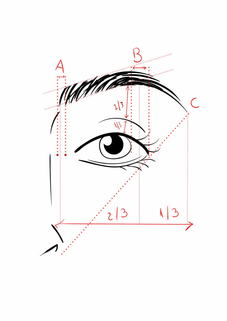 Schema zum Formen der Augenbrauen