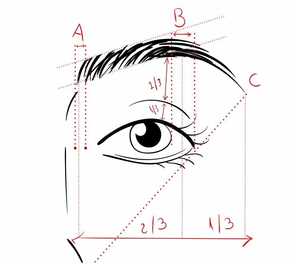 Augenbrauen Schema Schema zum Formen der Augenbrauen