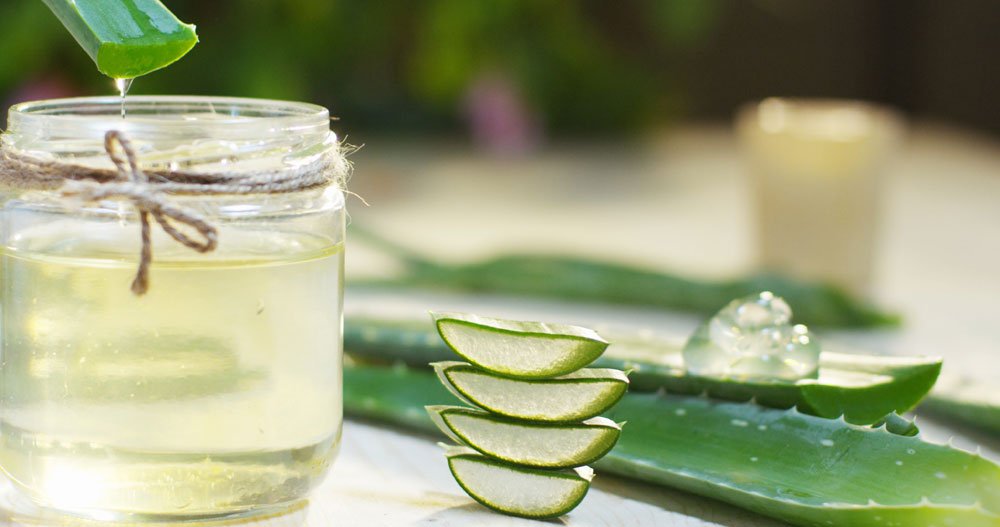 Aloe Vera bringt entzündungshemmende Eigenschaften mit sich Sonnenbrand Aloe Vera